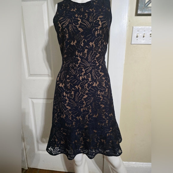 Banana Republic Midnight Blue Lace Dress - Picture 3 of 13